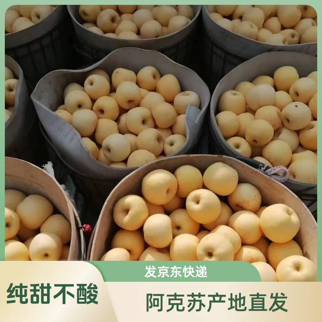 【新疆阿克苏维纳斯苹果】阿克苏生态种植脆甜可口纯甜无酸新疆直发