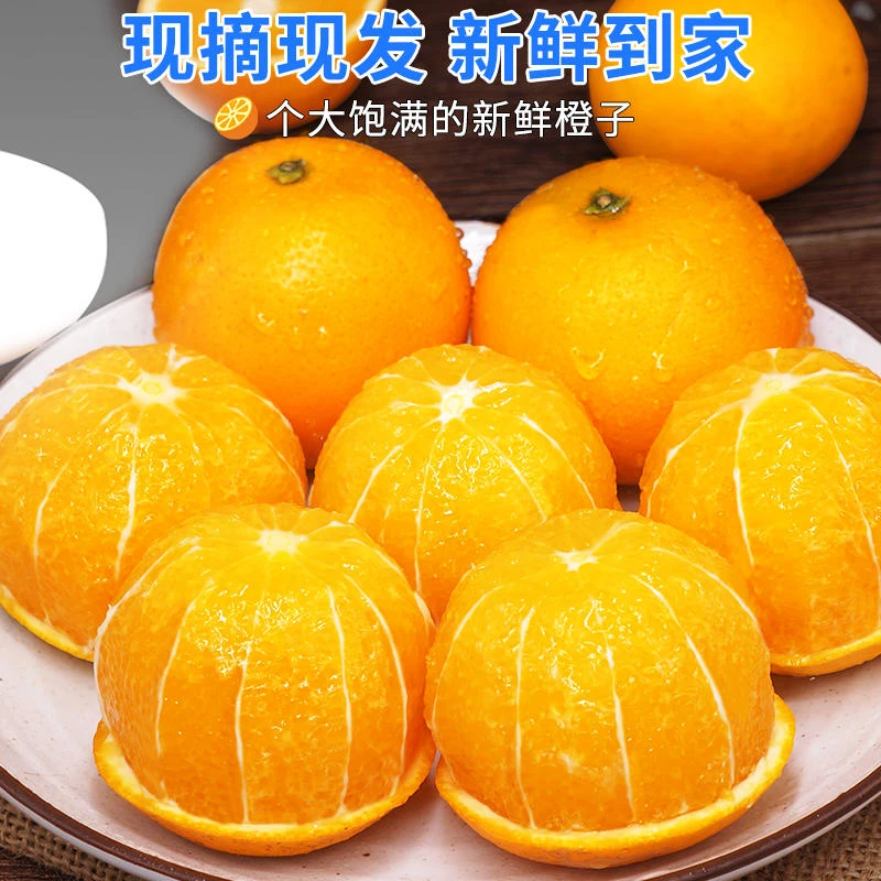 【麻阳冰糖橙】冰糖橙九分甜一分酸新鲜现摘现果园直发一口爆汁