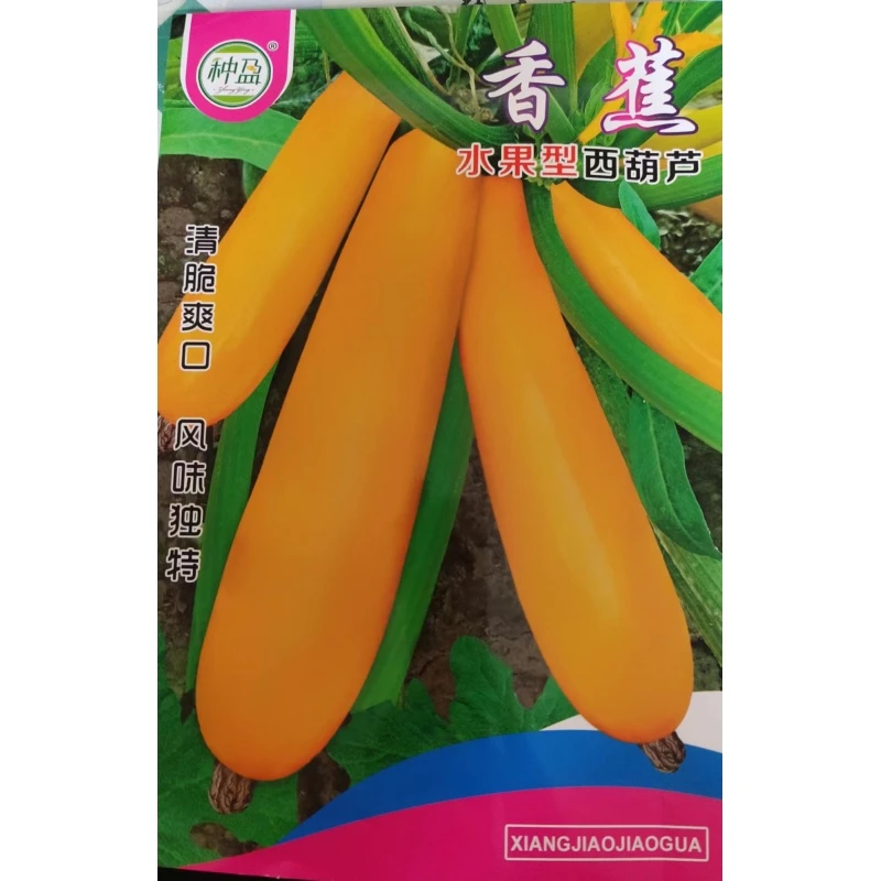 种盈香蕉水果型西葫芦种子