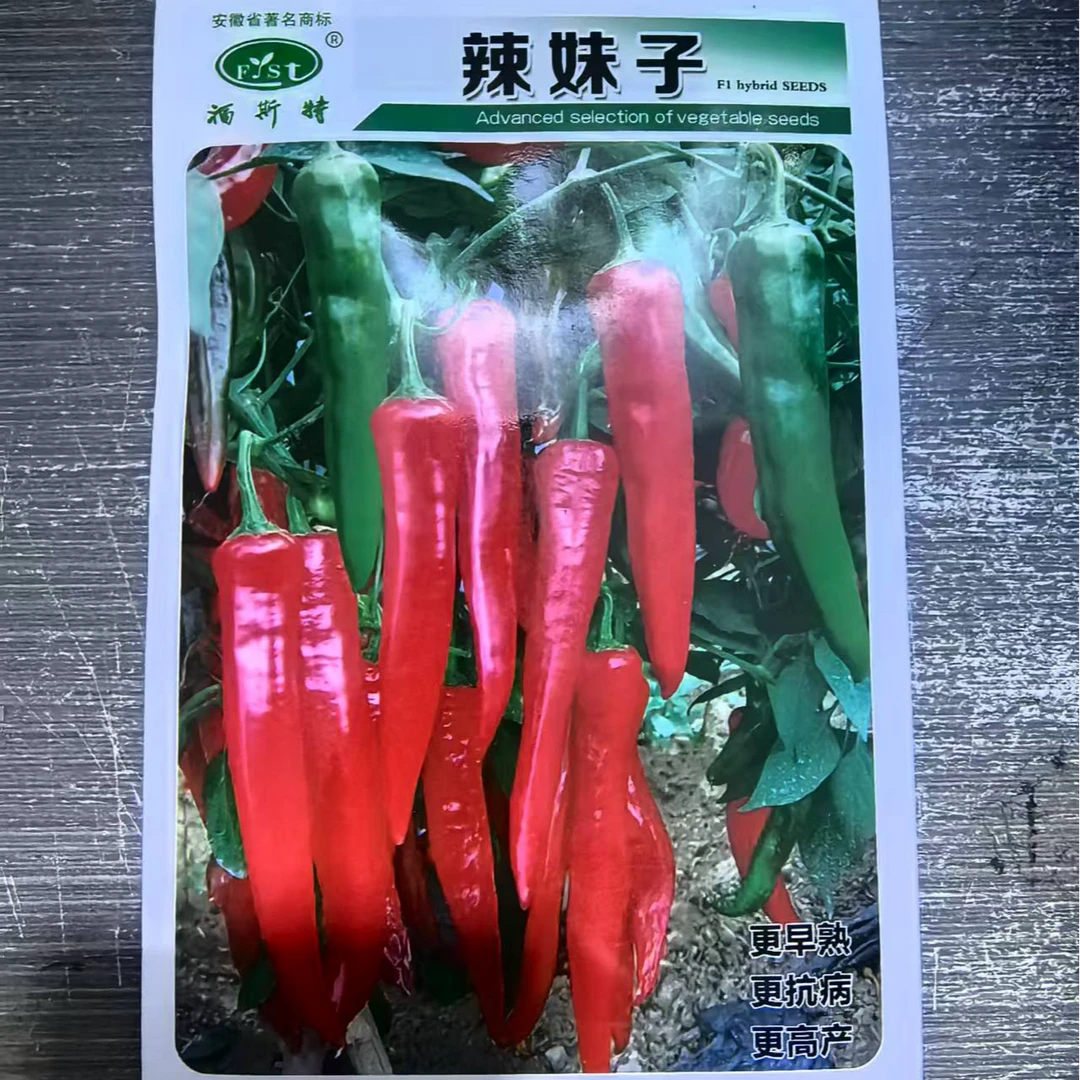 种盈辣妹子辣椒种子大包装1000粒