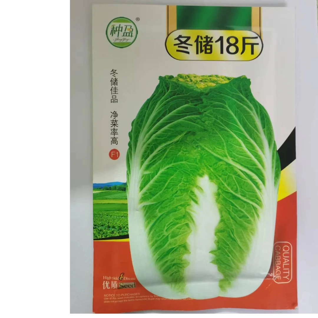 种盈冬储18斤大白菜种子