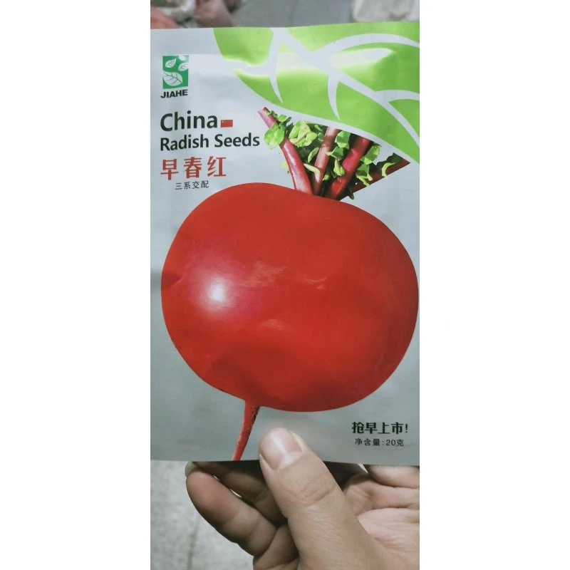 主播优选大红萝卜种子