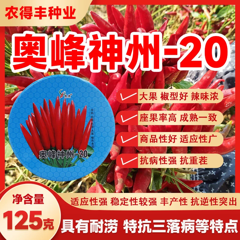 【奥峰神州-20】辣椒种四季播种新品种农业基地辣椒种子抗病抗倒