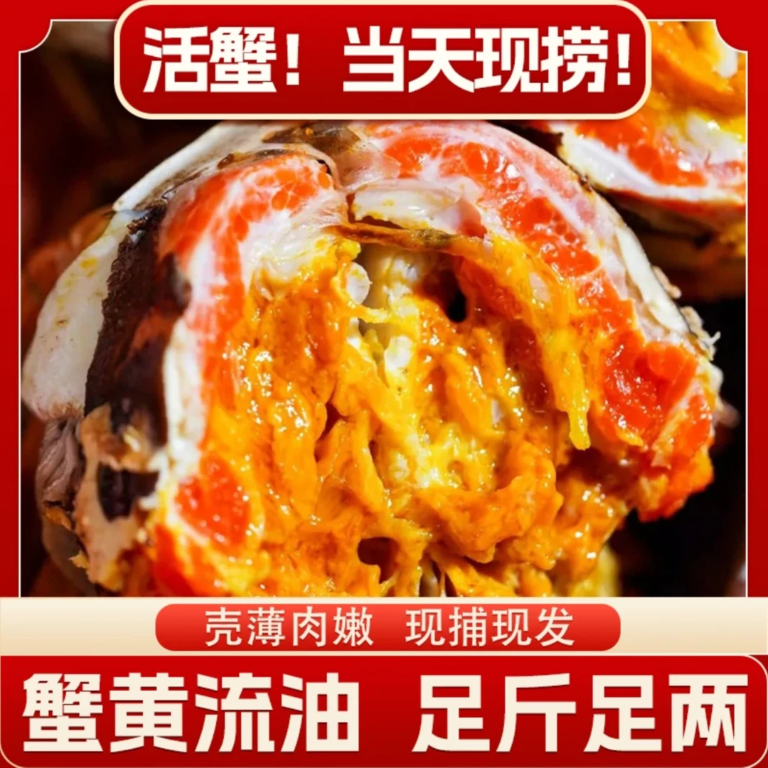 精品大闸蟹 当天现捞 母蟹尝鲜装 一只2-2.4两 贵在运费