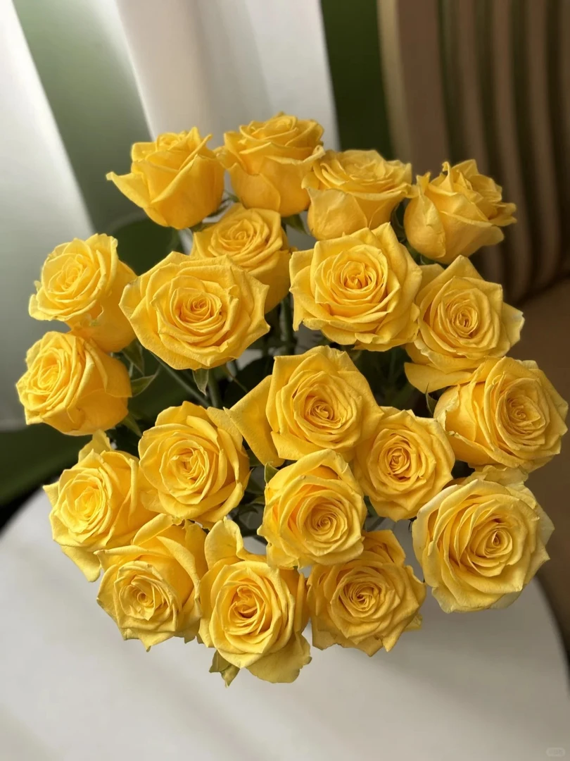 【金枝玉叶】高级黄色玫瑰鲜花基地直发  玫瑰花搭配 好看 瓶插现切