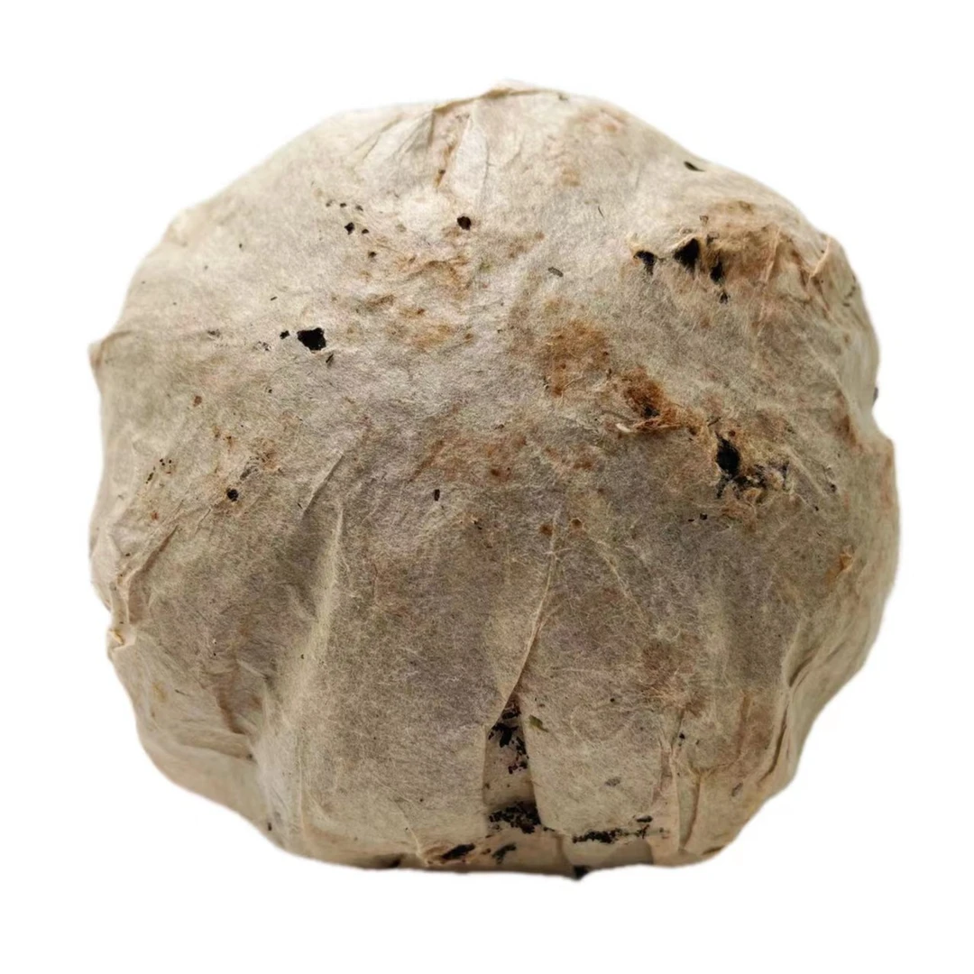 【子微珍藏茶】97年销台贡瓜沱普洱茶红汤老生茶沱（带茶样）