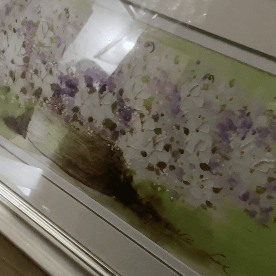 【闪购商品】陶瓷碗米*