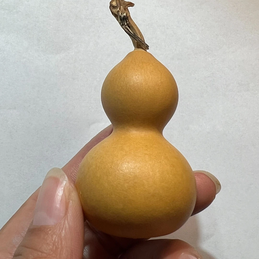 文玩葫芦手捻葫芦小葫芦胖墩草里金酒葫芦绕指柔小葫芦直播间专用