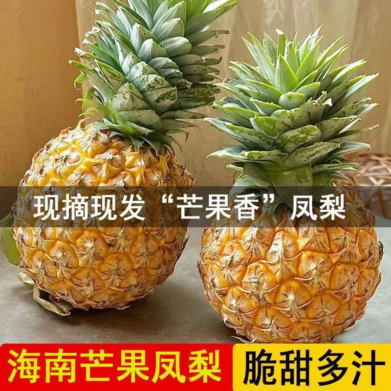 【芒果凤梨】海南芒果凤梨自然成熟台农23号新鲜水果应季现摘顺丰
