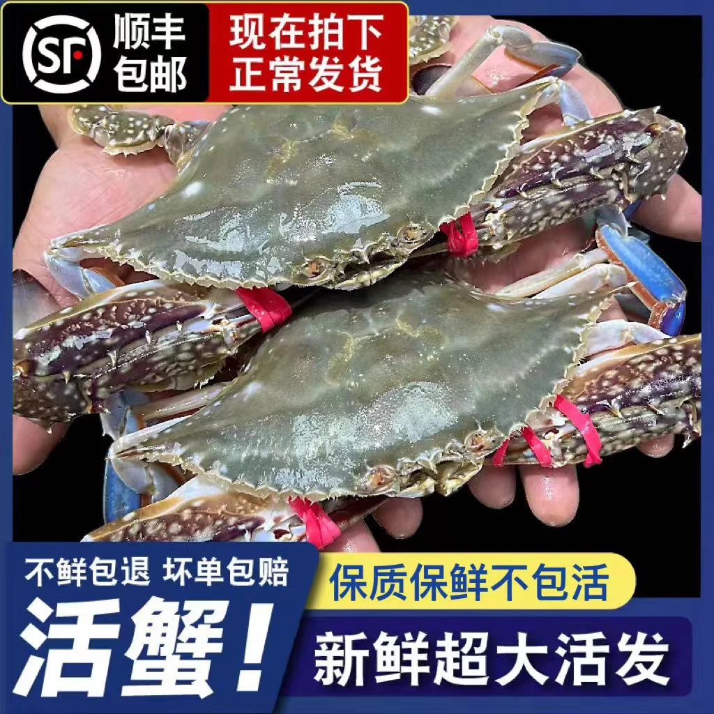 【保鲜不保活】公蟹三斤8-12只  3两左右一只