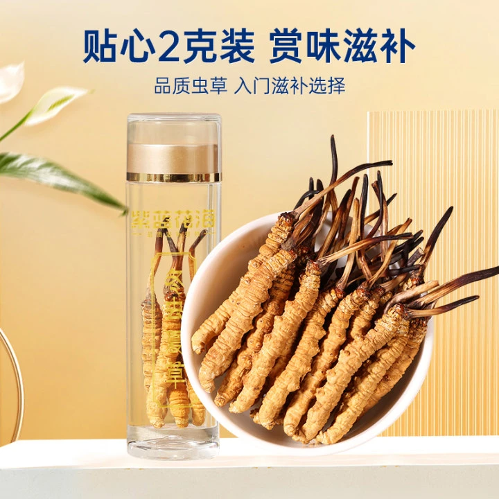 【阿弟虫草208】足干滋补养生好礼高品质冬虫夏草新货10根装