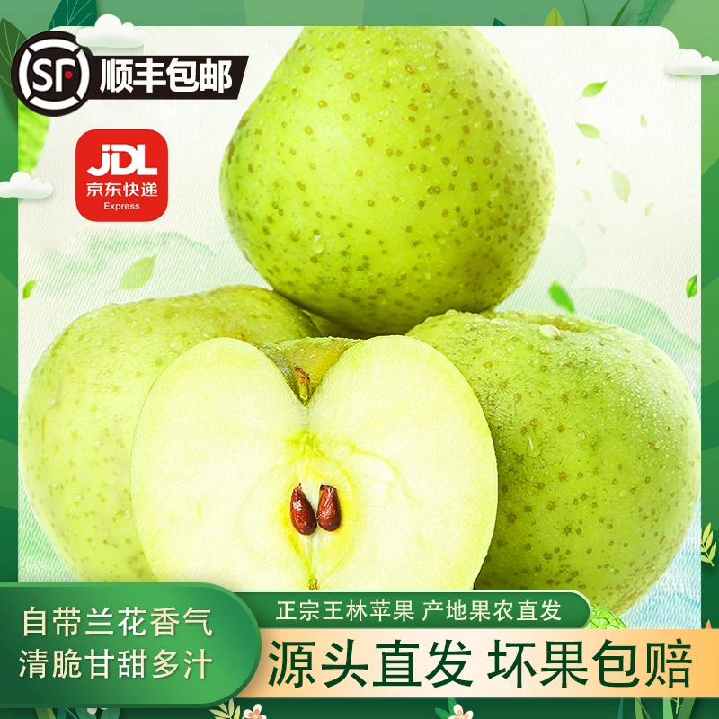 忆脆【顺丰京东包邮】王林苹果雀斑苹果绿色食品新鲜青森3.8-9斤