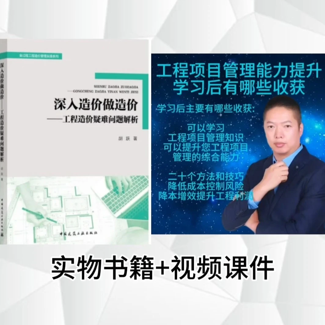 深入造价做造价工程造价疑难问题解析书籍专业书籍工程造价书
