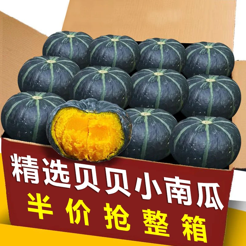 13.9抢一箱】贝贝南瓜小南瓜粉糯香甜板栗味现摘现发新鲜南瓜蔬