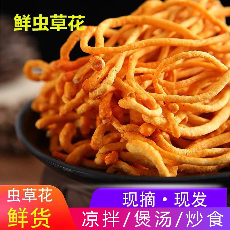 19.9抢2盒】新鲜孢子头虫草花湿孢子头菇金蛹虫煲汤食材菌菇批发
