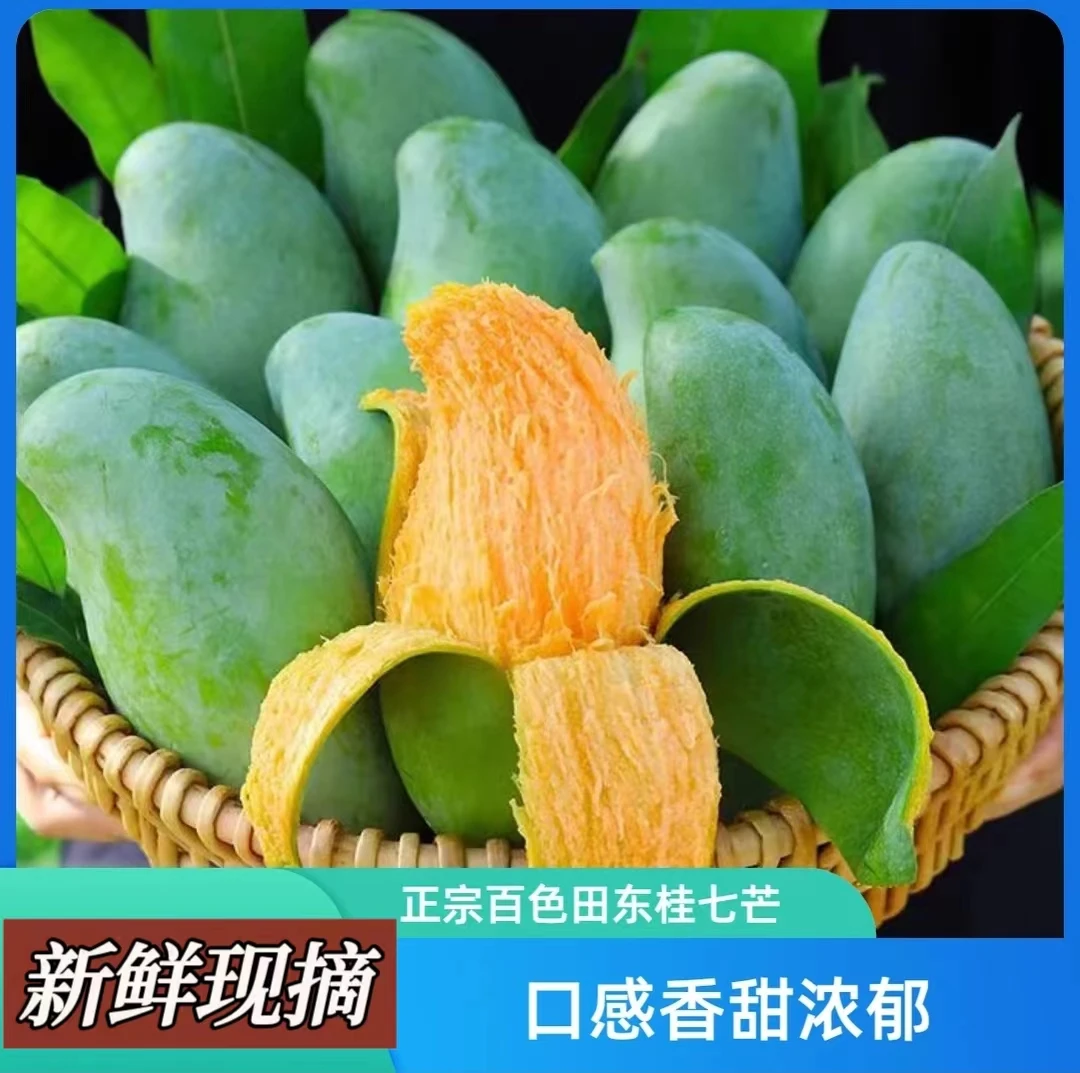 【五公子专属】百色青桂七芒香甜多汁新鲜当季水果5斤/9斤食用细腻