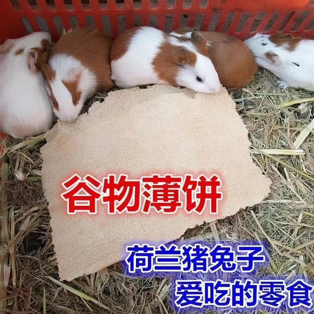 兔子即食磨牙零食豚鼠爱吃粗粮小零食荷兰猪食物仓鼠龙猫磨牙零食