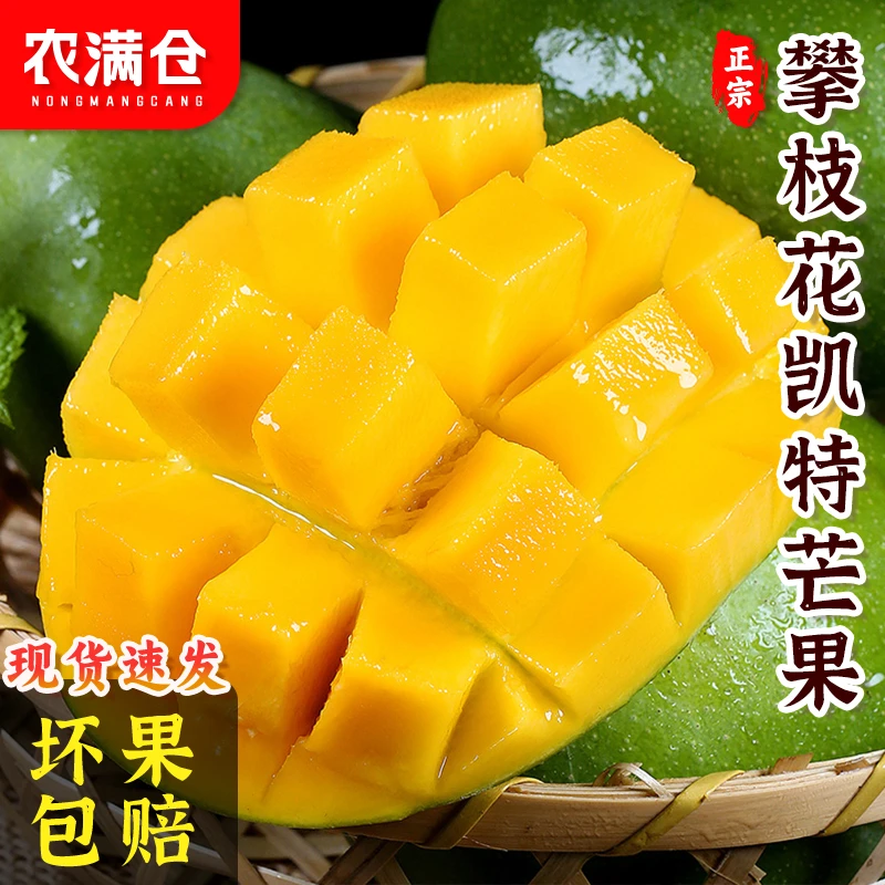 【放软即吃】四川攀枝花凯特芒果大脸芒新鲜采摘坏果包赔5/9斤