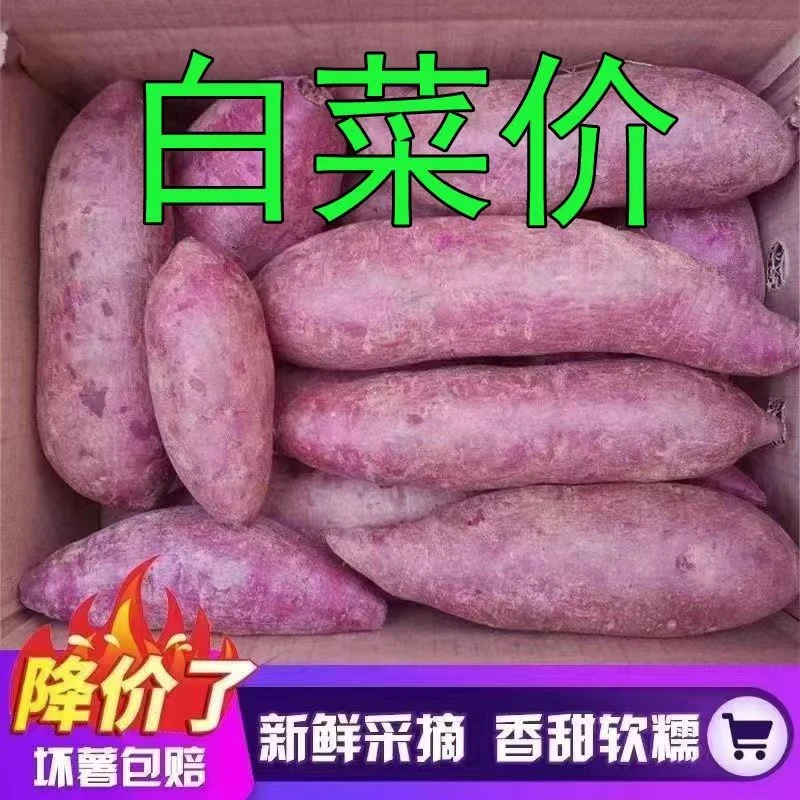 新鲜紫薯沙地紫薯农家自种番薯1-9斤紫罗兰蜜薯糖心老少皆宜地瓜