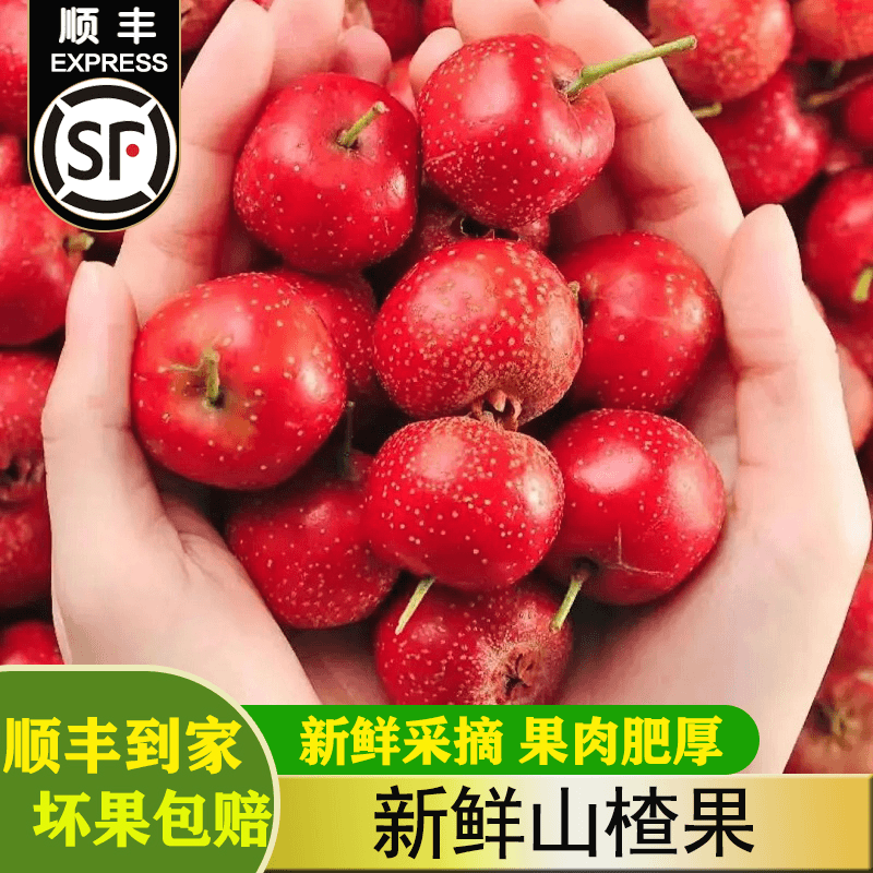 （顺丰速发）新鲜山楂果五菱大五星山楂