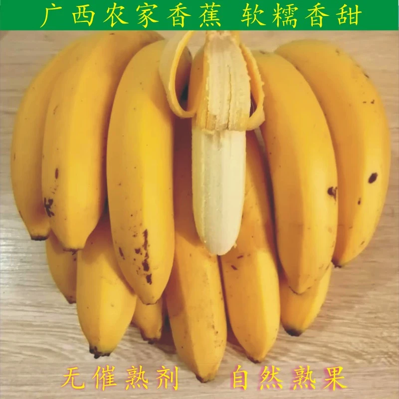 广西农家香蕉 新鲜水果 现采现发