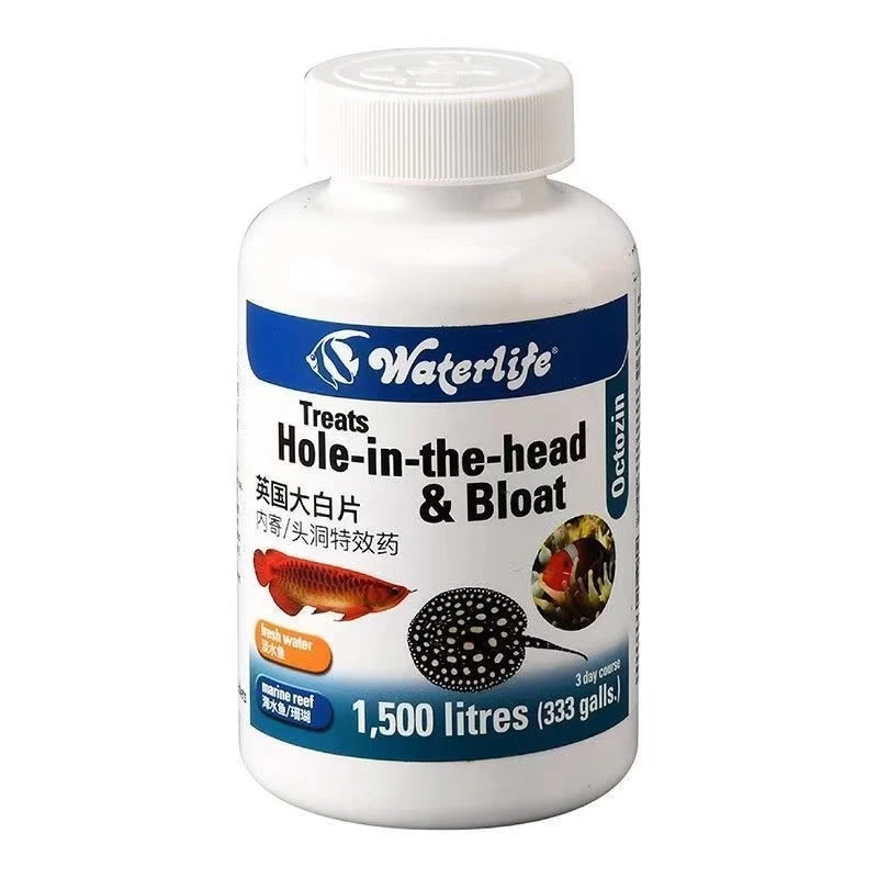 英国正品大白片内外寄水族龙鱼观赏鱼杀菌头洞腹水消毒剂调理