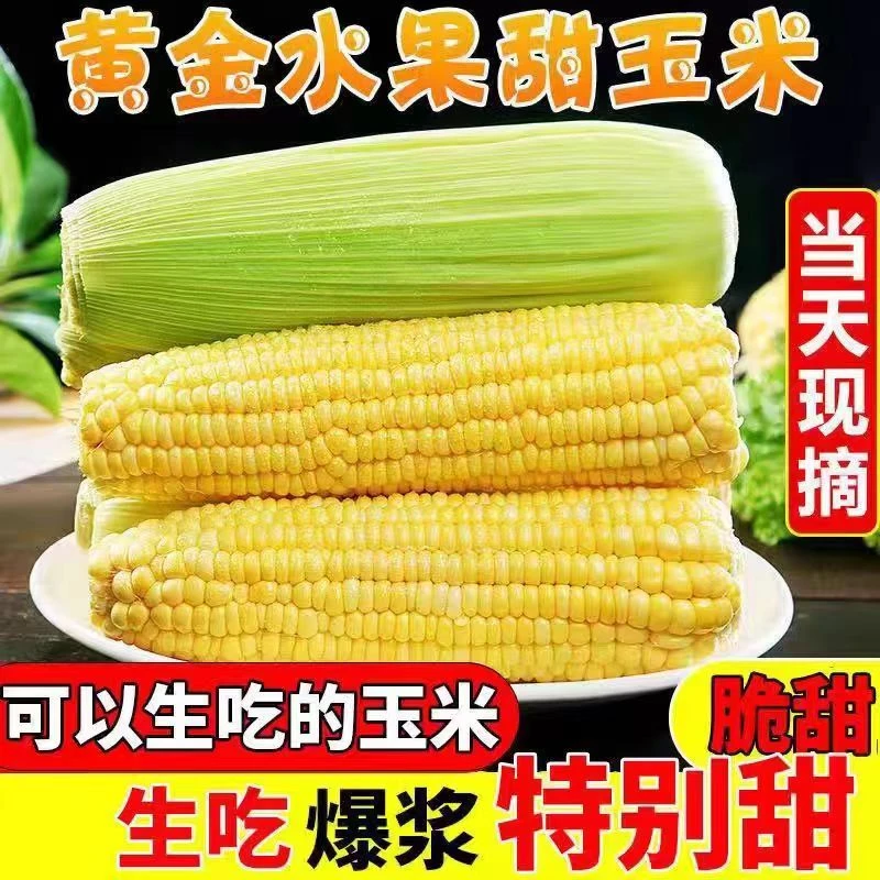 北京本地 水果玉米 十根装 甜甜甜 新鲜带皮发货 顺丰包邮