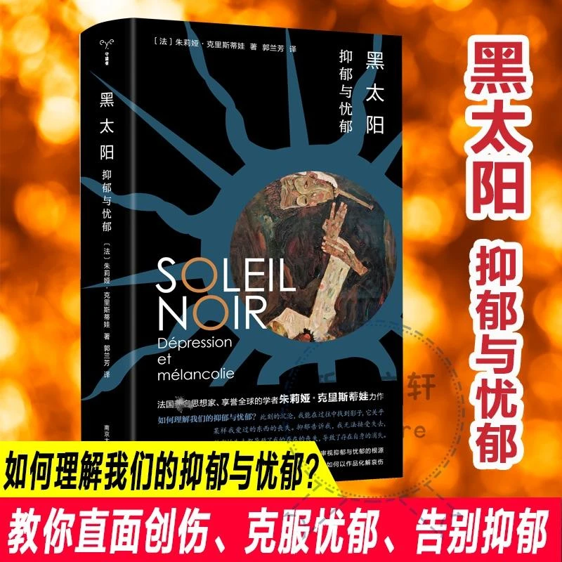 正版全新《黑太阳》书籍