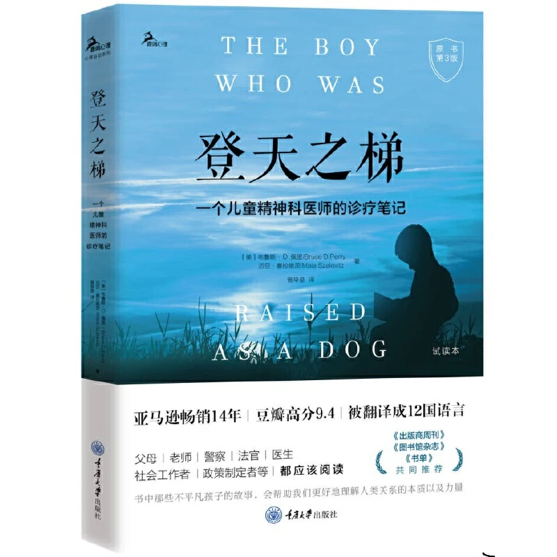登天之梯：一个儿童精神科医师的诊疗笔记（原书第3版）