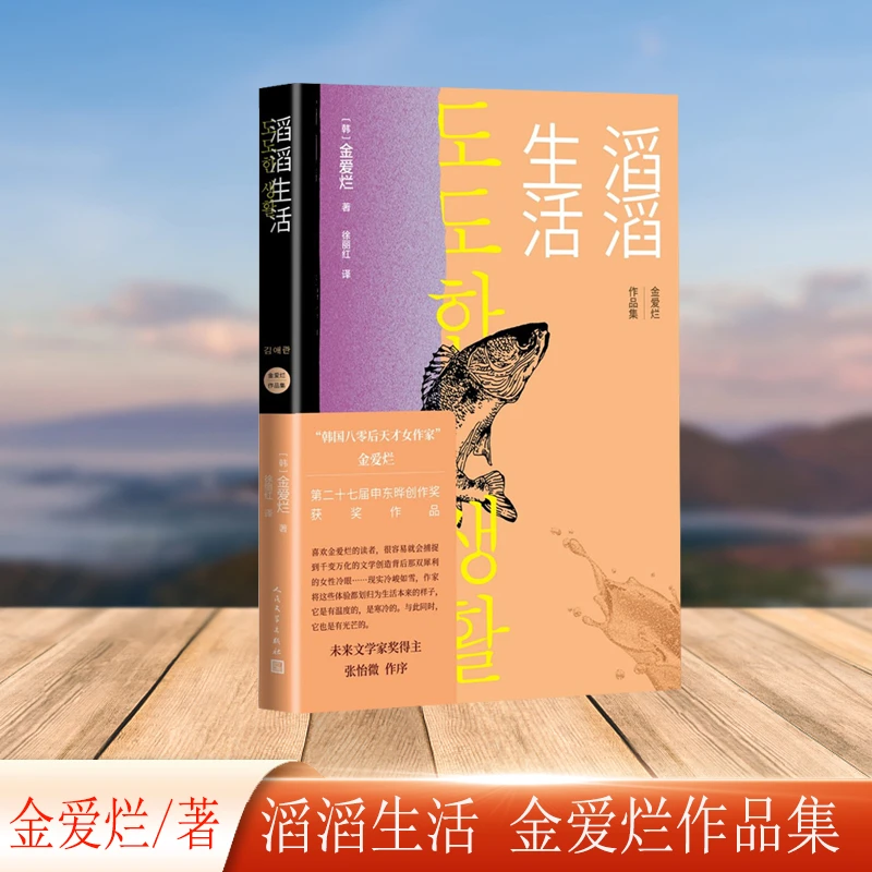 滔滔生活（金爱烂作品集）