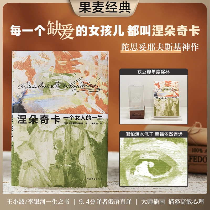 【当当】（6册）涅朵奇卡：一个女人的一生+地下室手记+罪与罚+白