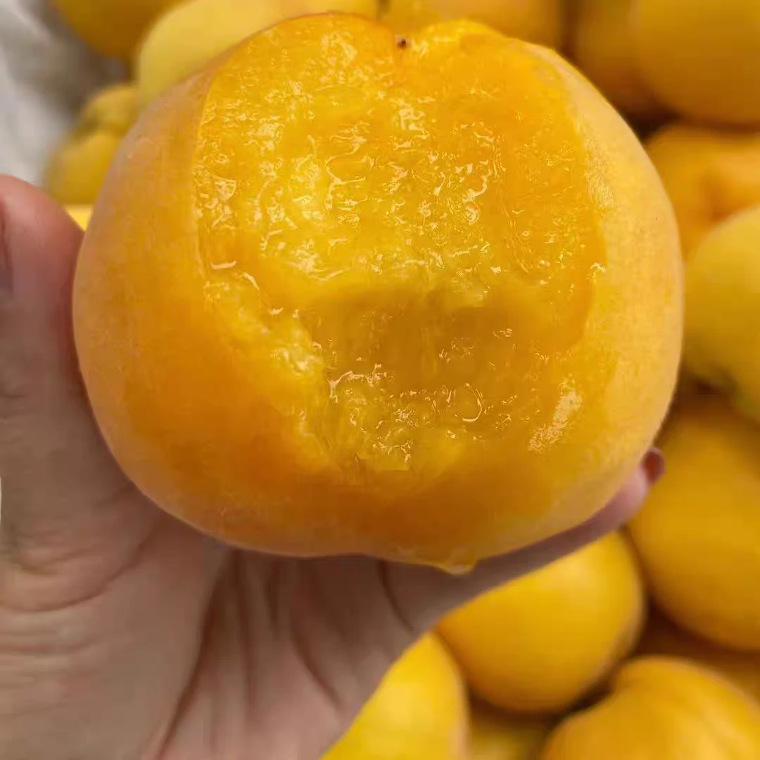 【芒果油桃】山西运城黄金油桃4.5斤芒果桃子水蜜桃夏日尝鲜