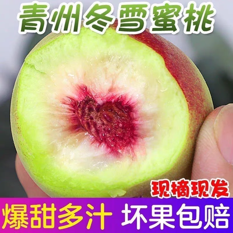 【纯甜无酸】山东青州冬雪蜜桃 脆甜多汁冬桃小毛桃现摘现发3/4.5斤