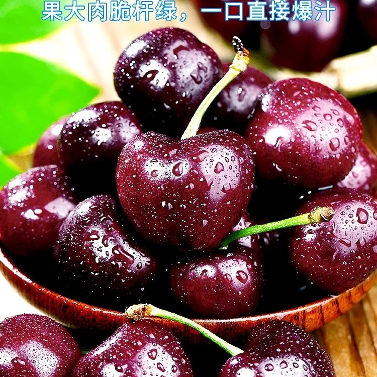 车厘子智利进口1/5斤新鲜饱满肉厚皮薄鲜嫩多汁应季水果好车里子