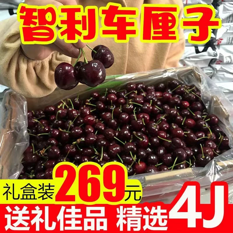 进口车厘子智利新鲜车厘子大樱桃黑珍珠孕妇水果整箱大果顺丰爆汁