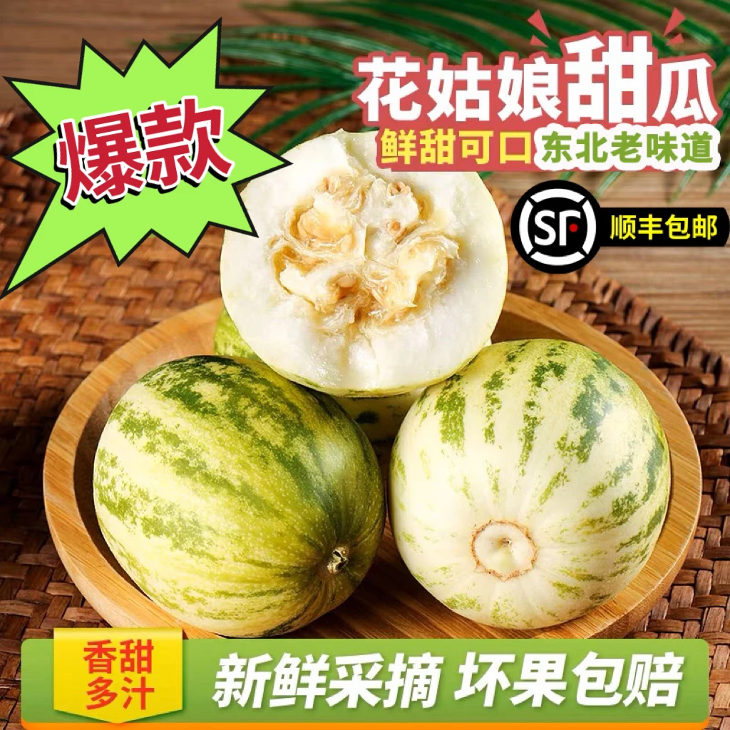 东北香瓜花姑娘香甜头茬香瓜现摘现发脆甜可口1斤3斤5斤 包邮