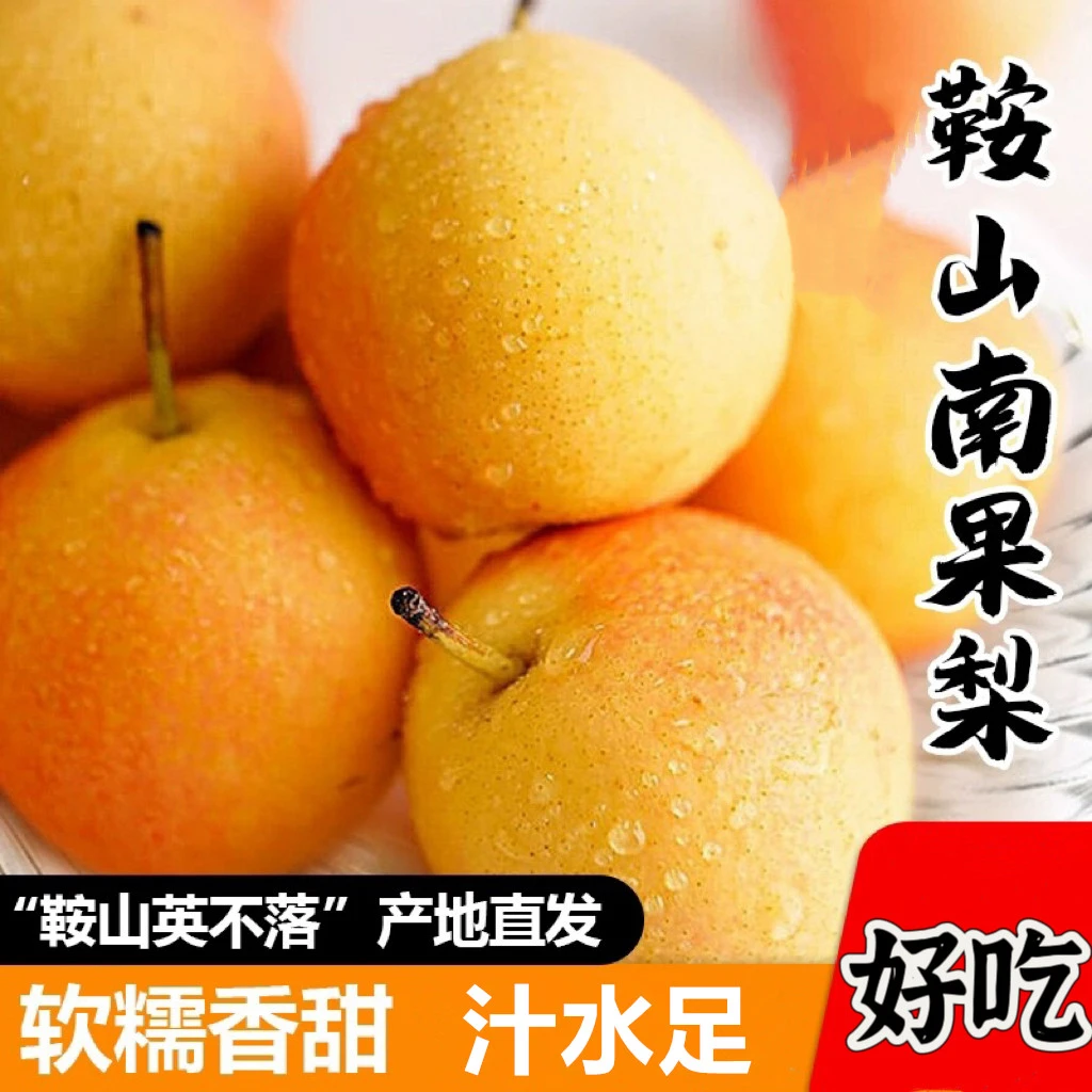 正宗鞍山南果梨　软糯香甜３斤５斤【顺丰包邮】D
