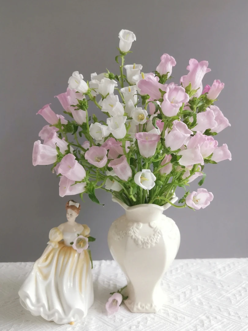 【夏季甄选】家居生活鲜切风铃花花期长易养护夏日鲜花精灵