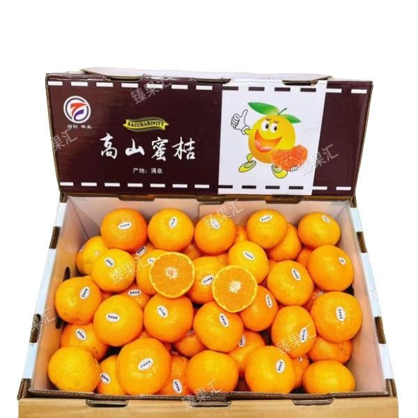 【臻果汇】涌泉高山无核蜜桔4斤净 蜜甜多汁 顺丰包邮