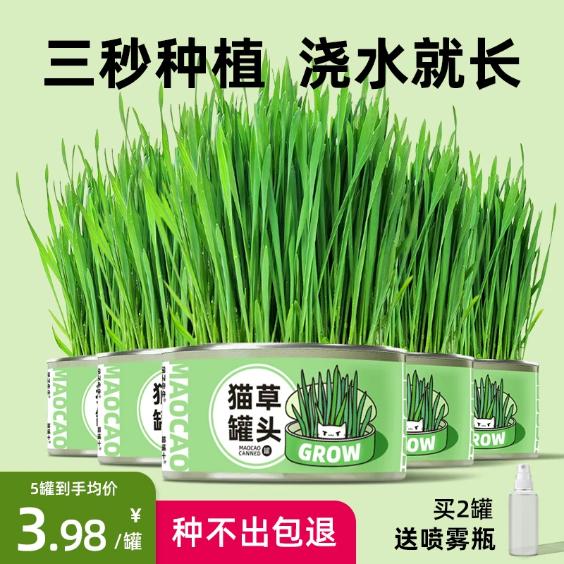 猫草罐头懒人种植猫零食化毛小麦种子盆栽猫薄荷猫咪用品