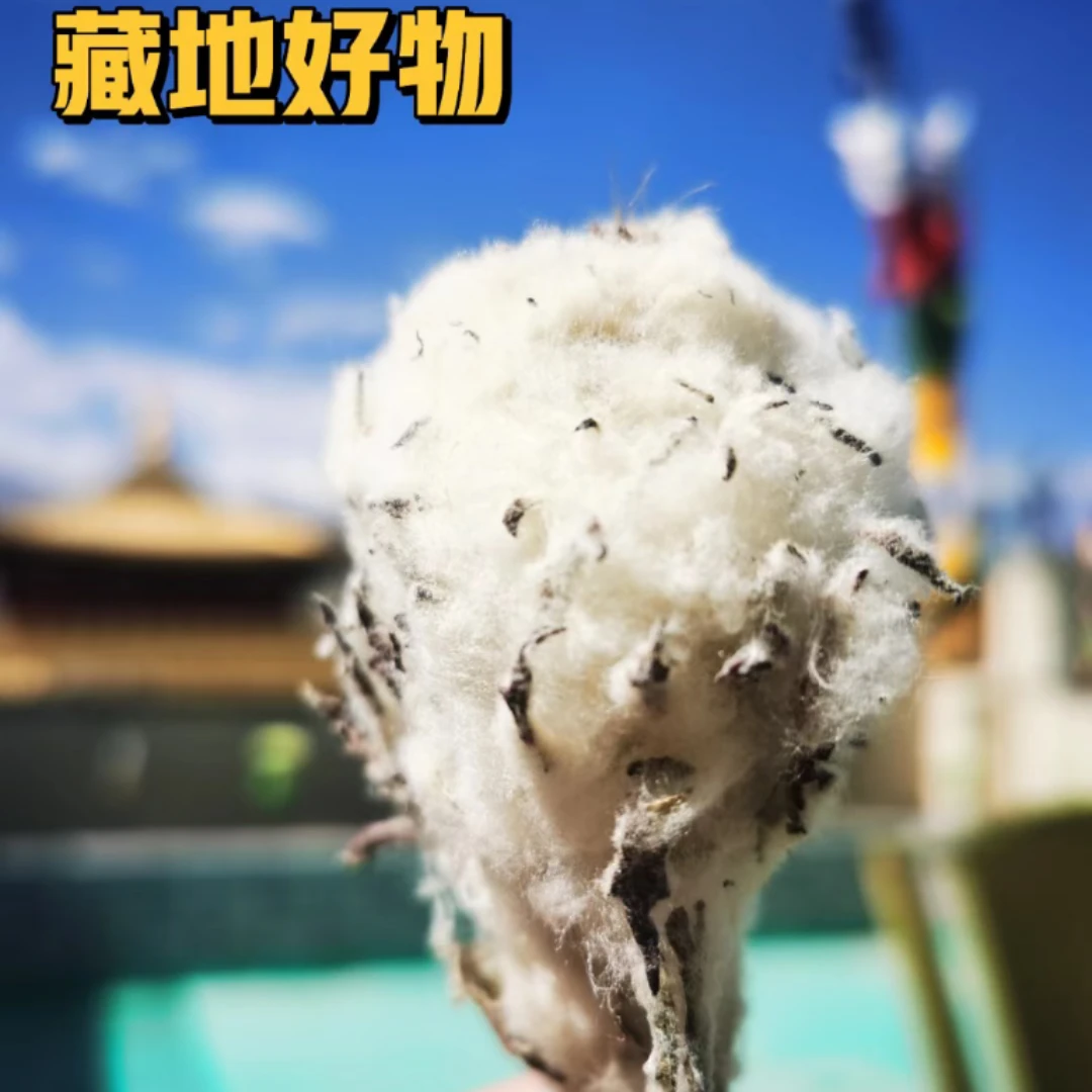 滇藏高原【藏雪莲】250g 山货