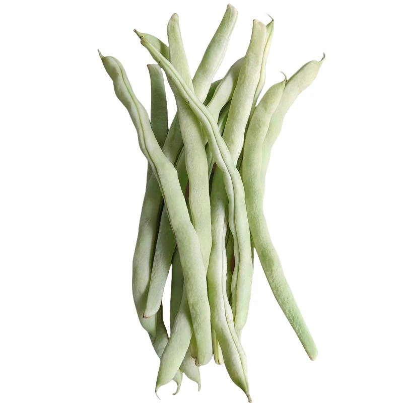 东北新鲜白芸豆五花肉炖豆角现摘现发老味道好吃不贵顺丰包邮