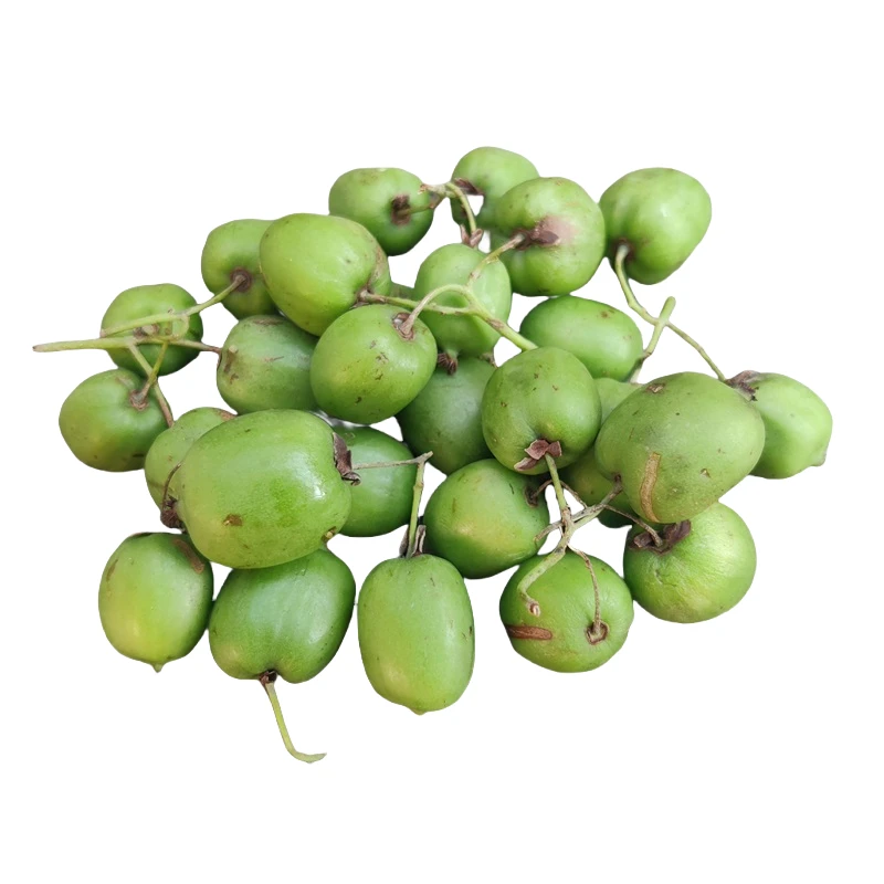 东北新鲜野生圆枣子应季下山硬度适中回家困二三天软了吃顺丰特快