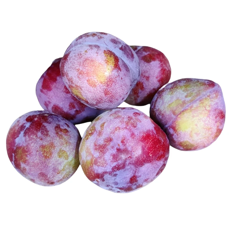 东北纯当地产鸡心李子吉庆李子现摘现发保温箱冰冻发货顺丰包邮