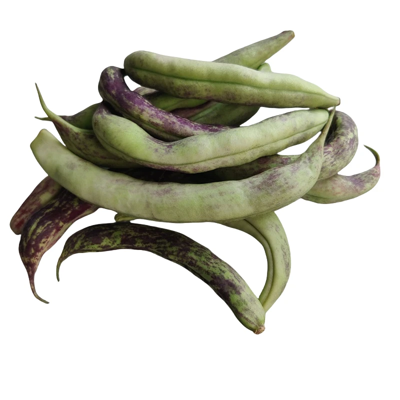 东北新鲜时令马掌豆五花肉炖豆角芸豆现摘现发保温箱冰袋顺丰包邮