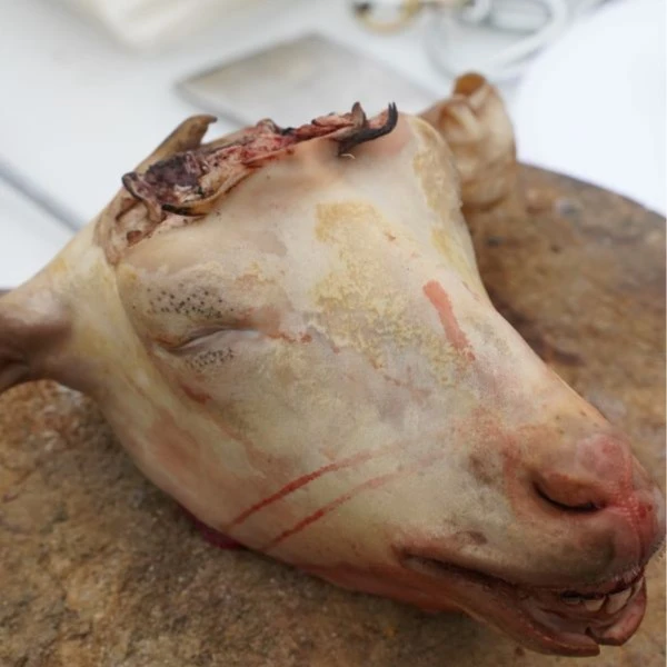 牛魔王【羊脑壳】羊肉当天现杀羊脑壳一整个3.5斤左右