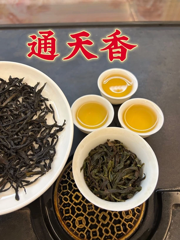 【老枞通天香】高品质老枞通天香2025秋雪茶潮州凤凰单枞茶