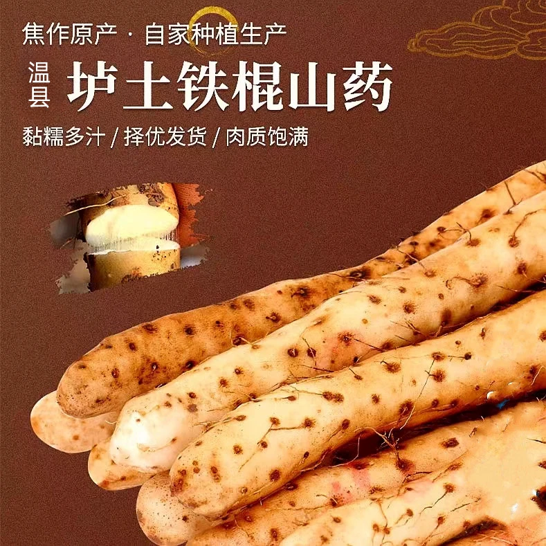 史昊记2025河南焦作铁棍怀山药 新鲜现挖净重5斤 焦作原产地直发