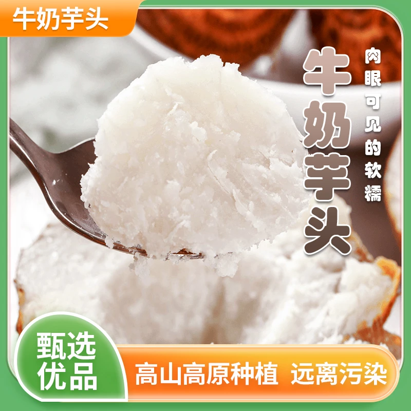 【坏果包赔】云南高山种植软糯丝滑入口即化牛奶芋头营养健康粗粮