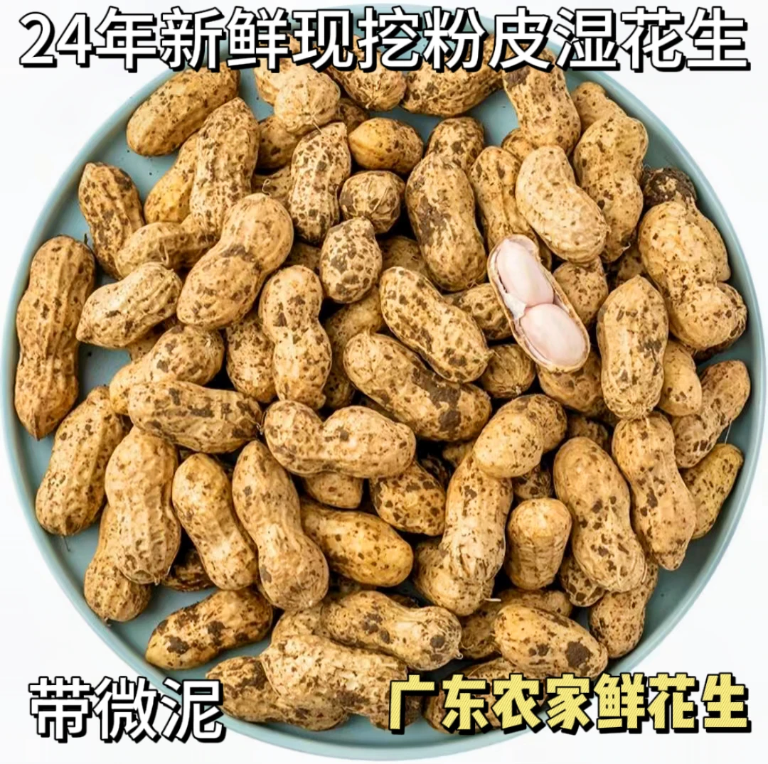 2024现挖现发新鲜花生带泥白皮湿花生水煮卤鲜花生半斤三斤五斤